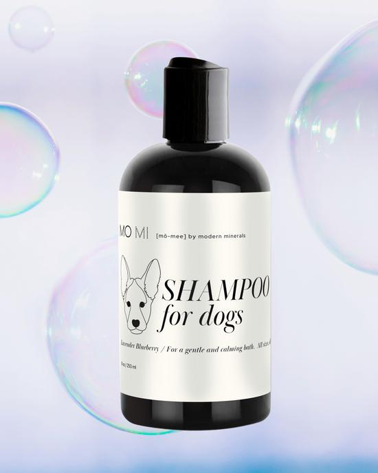 Dog Shampoo • Organic Lavender